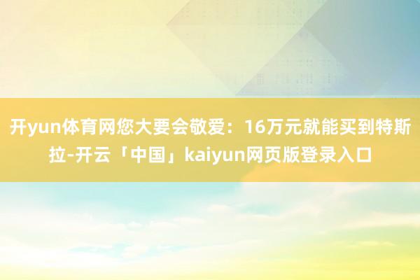 开yun体育网您大要会敬爱：16万元就能买到特斯拉-开云「中国」kaiyun网页版登录入口