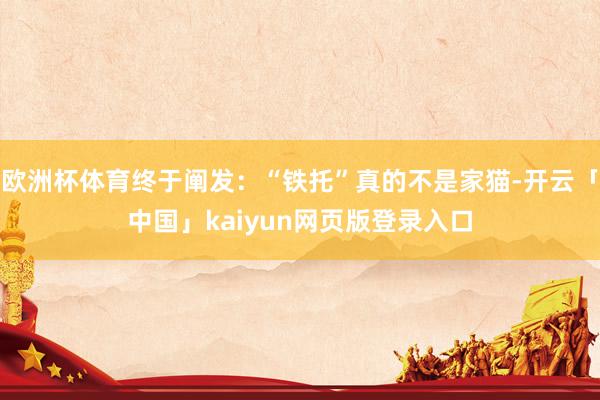 欧洲杯体育终于阐发：“铁托”真的不是家猫-开云「中国」kaiyun网页版登录入口