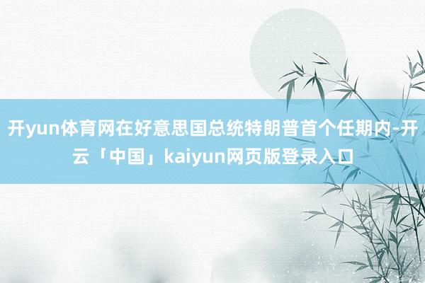 开yun体育网在好意思国总统特朗普首个任期内-开云「中国」kaiyun网页版登录入口